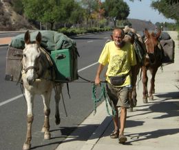 3 Mules in Southern California